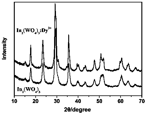 Rare earth Dy&lt;3+&gt;-doped indium tungstate nano material, preparation method and application thereof