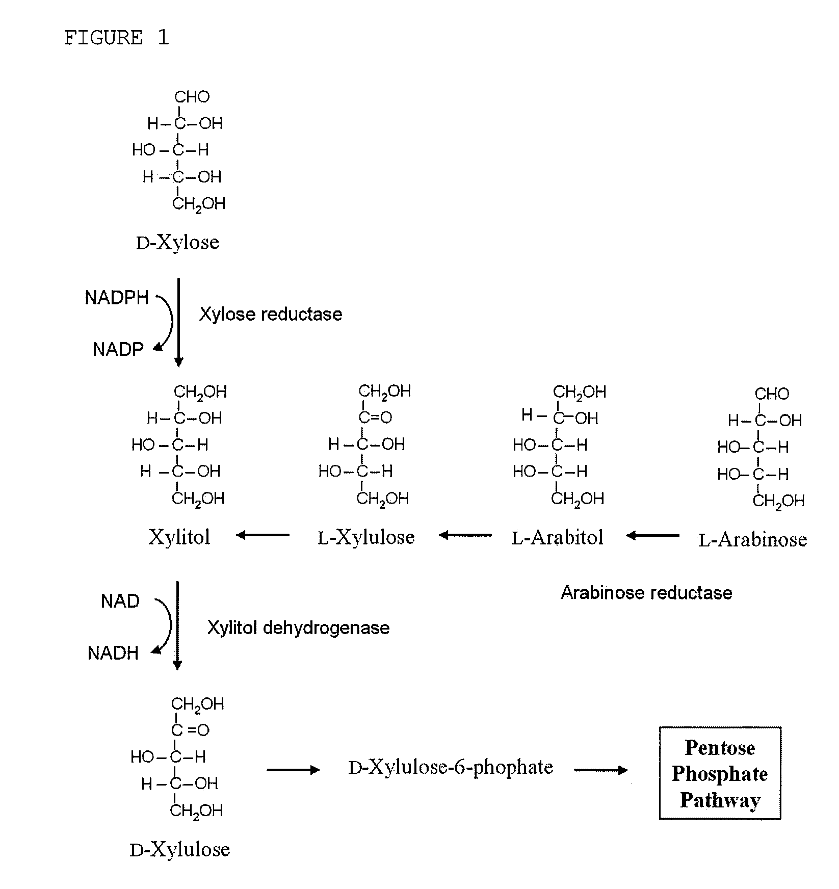 Xylitol dehydrogenase-inactivated and arabinose reductase-inhibited mutant of candida tropicalis, method of producing high-yield of xylitol using the same, and xylitol produced thereby