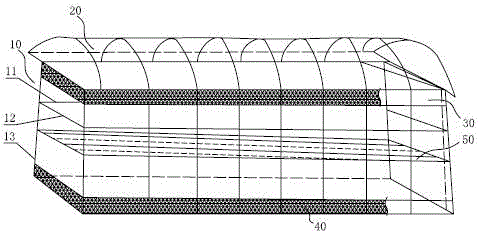 Raisin production method for changing appearance characteristics and flavor of raisins