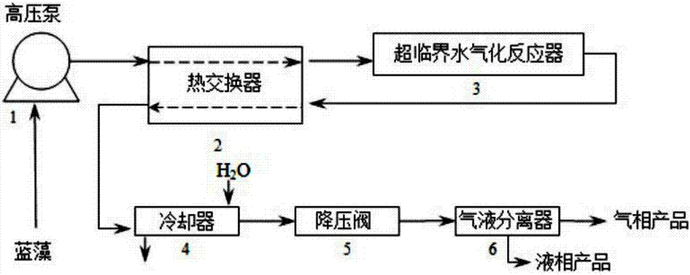 Spherical titanium dioxide catalyst and application thereof to preparation of hydrogen through supercritical water gasification by taking cyanobacteria as raw material