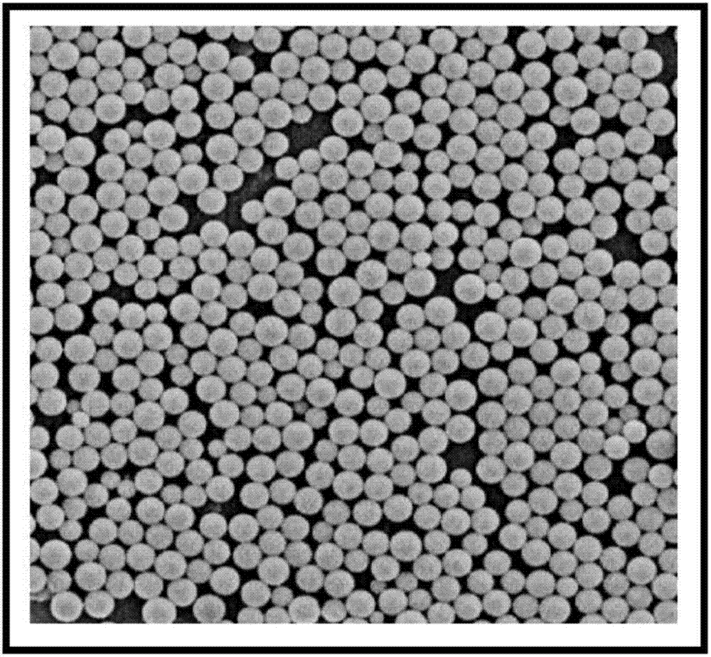 Spherical titanium dioxide catalyst and application thereof to preparation of hydrogen through supercritical water gasification by taking cyanobacteria as raw material