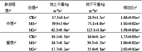 A method for improving the drought resistance of turfgrass by using drought-resistant intensified active nano-waste compost