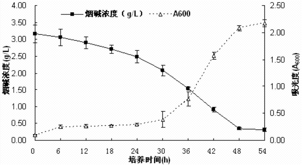 Ochrobactrum intermedium SCUEC4 strain, screening method and uses thereof