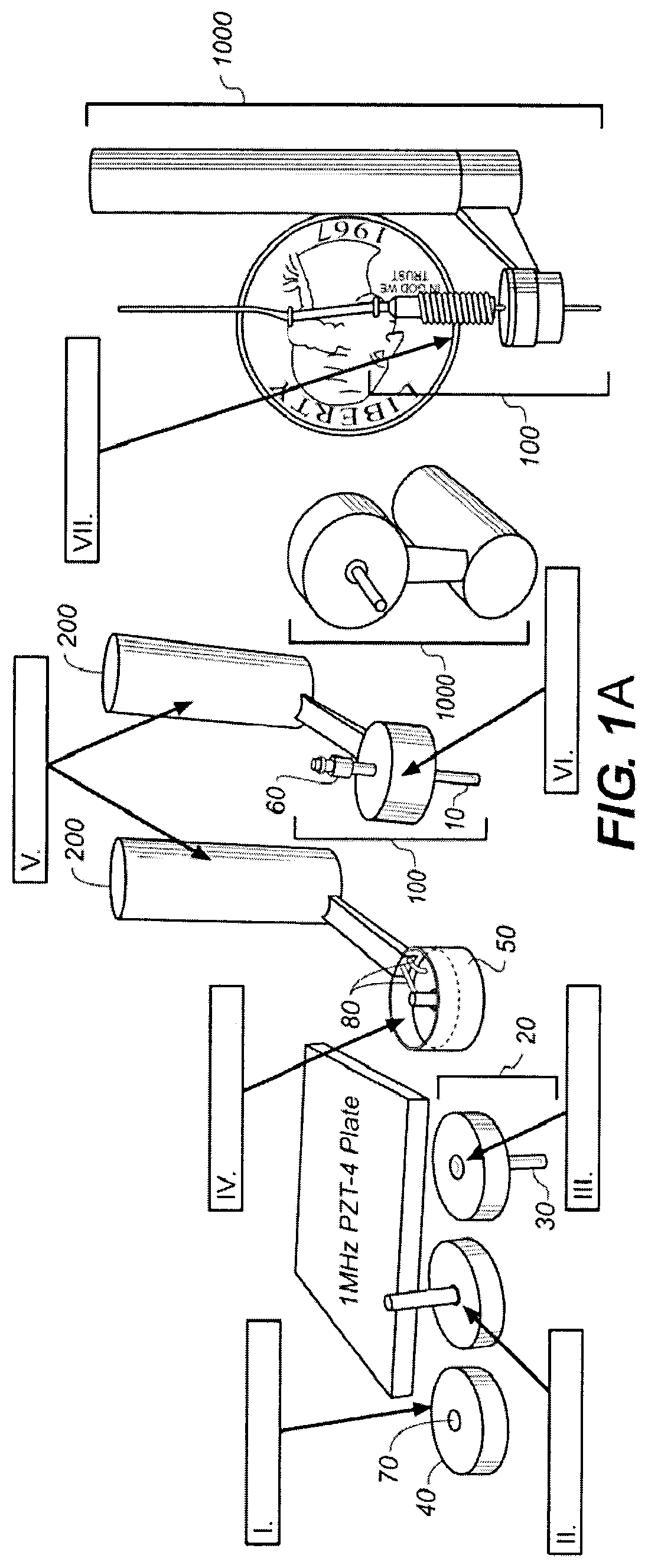 Ultrasound-assisted convection enhanced delivery of compounds in vivo with a transducer cannula assembly