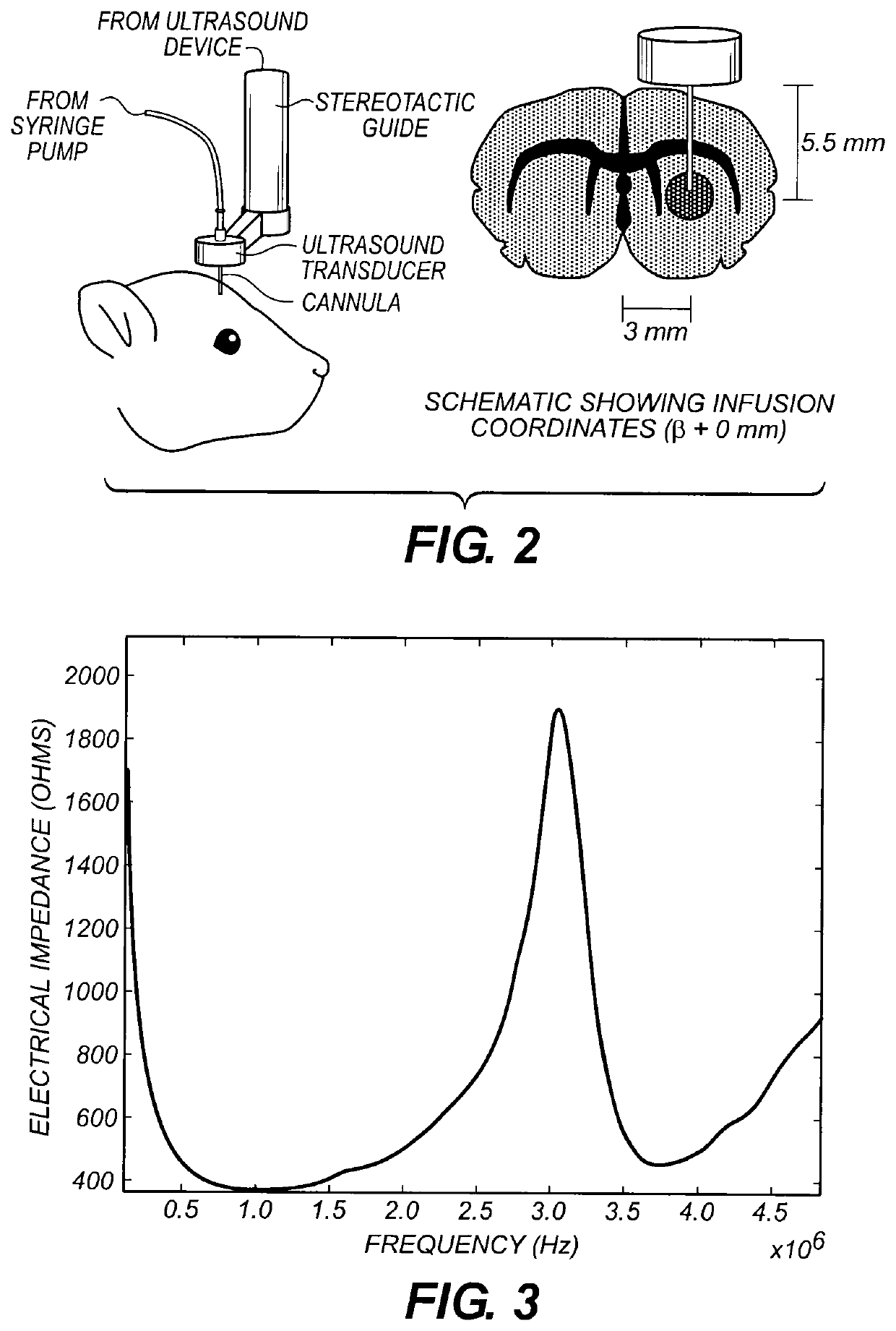 Ultrasound-assisted convection enhanced delivery of compounds in vivo with a transducer cannula assembly