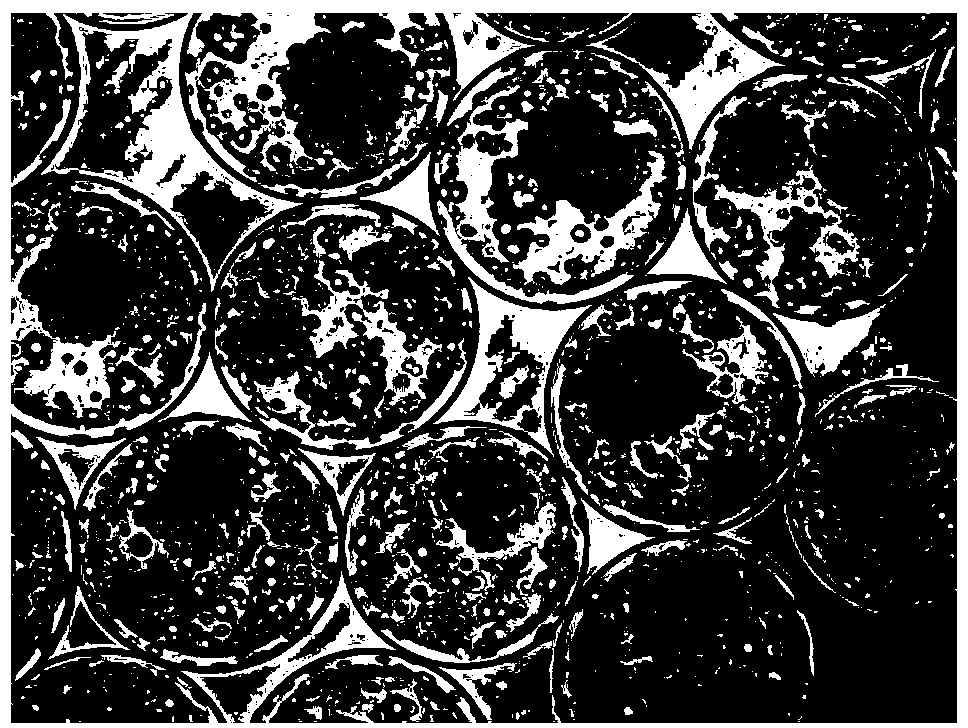 Protein-free culture medium for culturing microencapsulated recombinant Chinese hamster ovary (CHO) cells and preparation method thereof