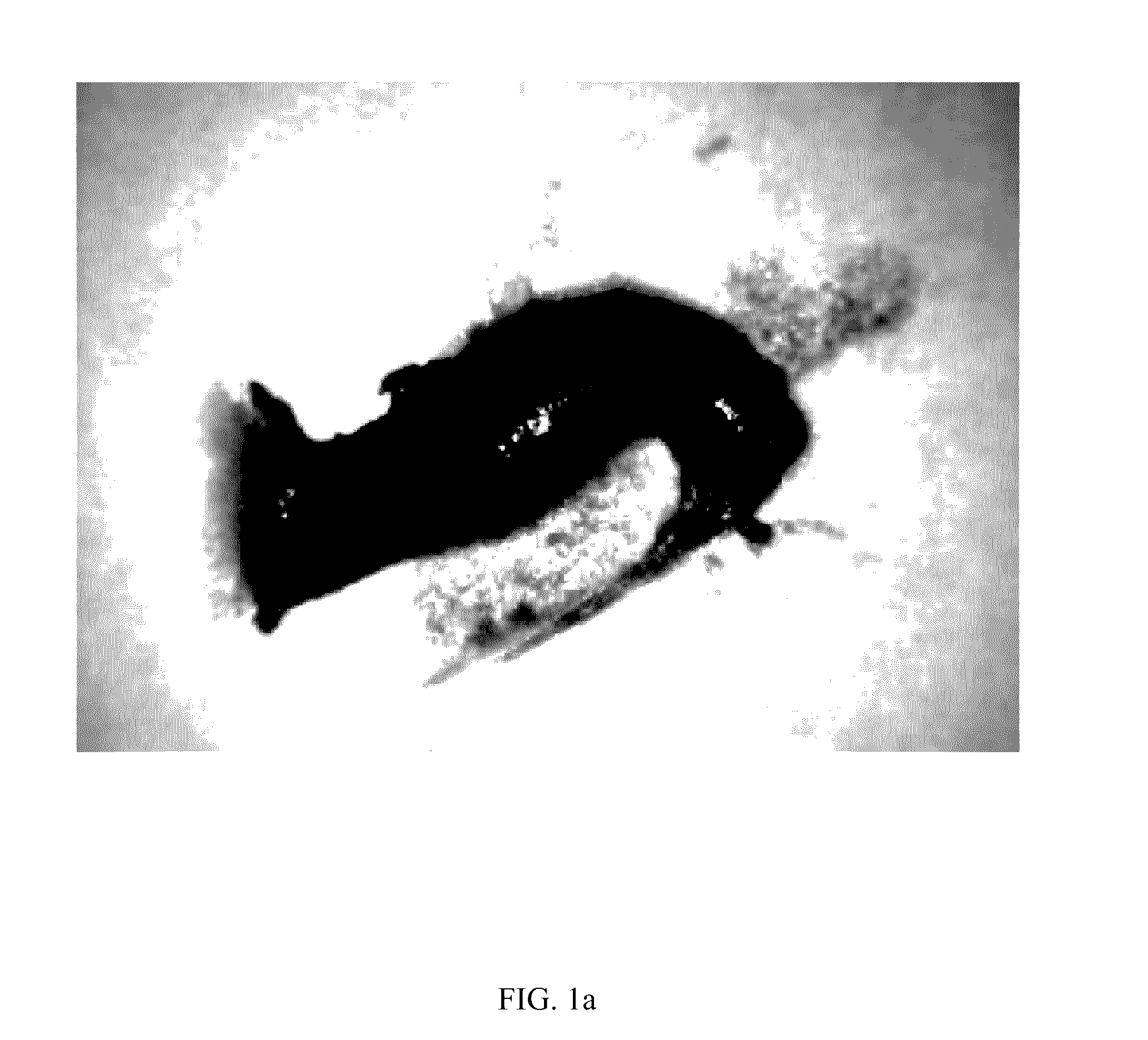 Systems and methods for cannabinoid and terpene extraction and purification