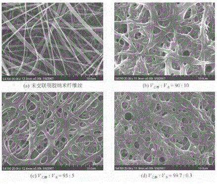 Application of gelatin-hydrolyzed gelatin compound in skin care product