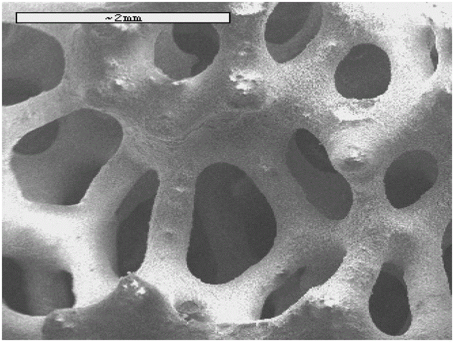 A kind of foamed silicon carbide-based structured catalyst and its application in the preparation of butadiene