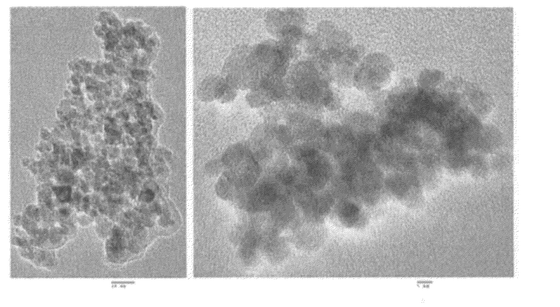 Core-Shell Magnetic Particles and Related Methods