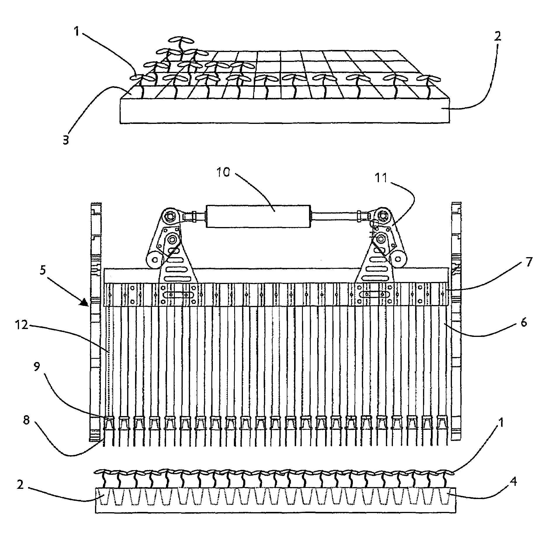 Automated planter