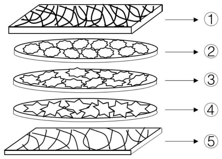 Bionic artificial periosteum with "sandwich" structure and preparation method of bionic artificial periosteum