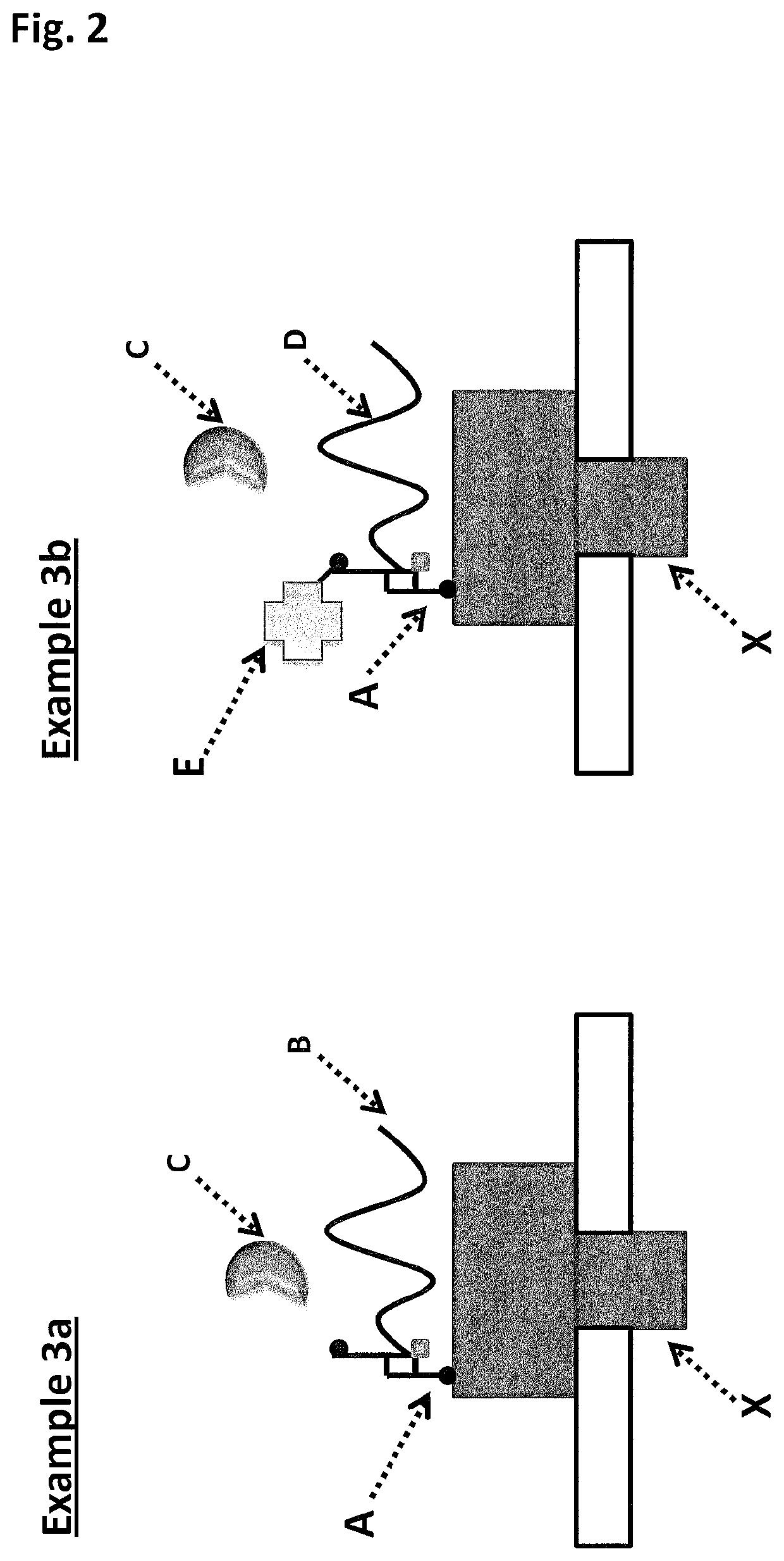 SSB method