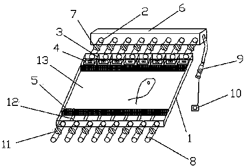 Testing device and testing method for testing environmental preference behavior of fish