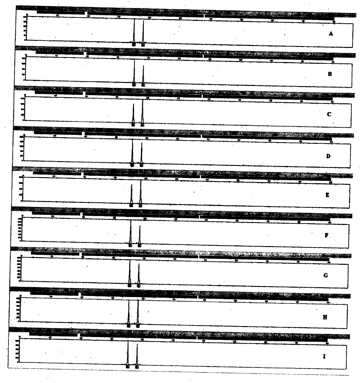 A detection kit for multiplexed amplification of 21 short tandem repeats using a double fluorescent labeling method