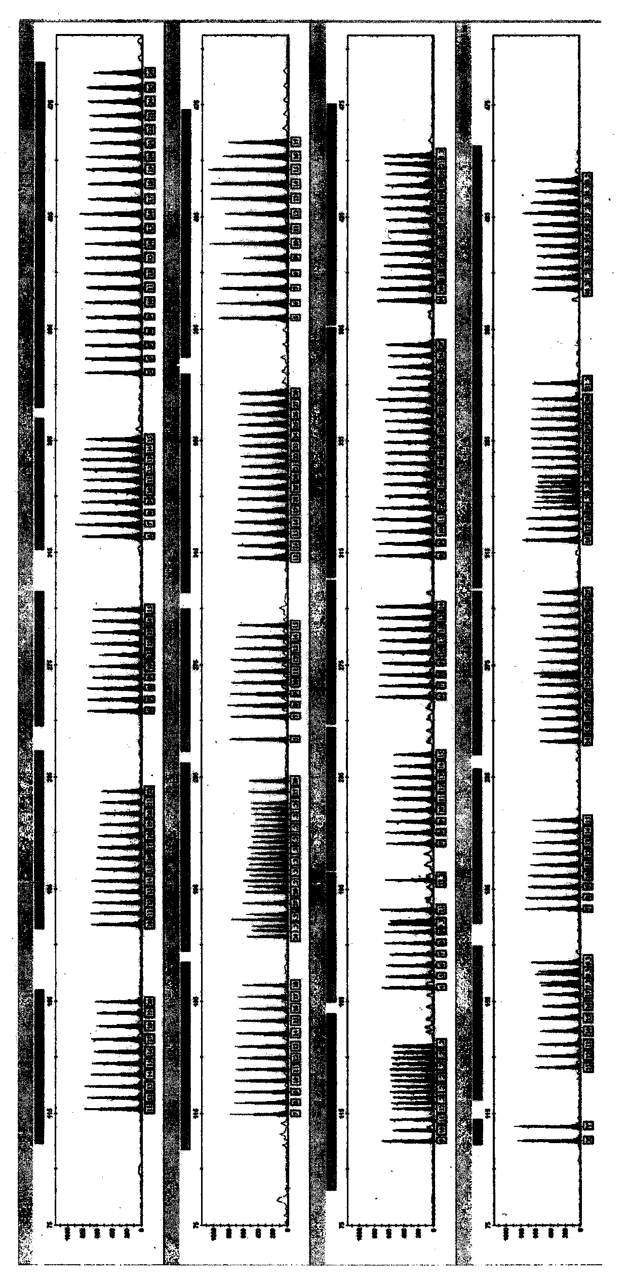 A detection kit for multiplexed amplification of 21 short tandem repeats using a double fluorescent labeling method