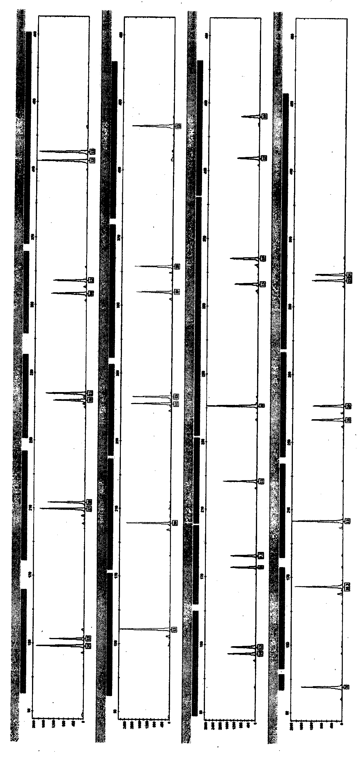 A detection kit for multiplexed amplification of 21 short tandem repeats using a double fluorescent labeling method