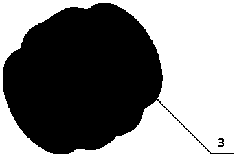 Detecting device and detecting method for particle diameter of river sediment