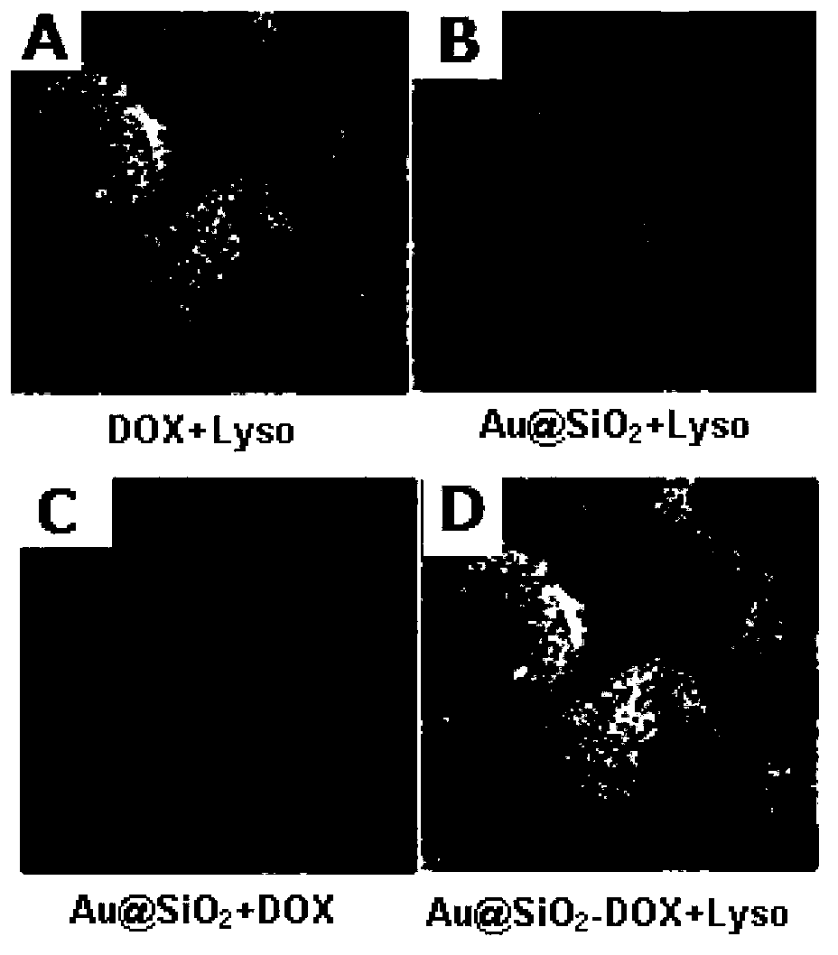 Drug carrier, preparation method thereof, pharmaceutical composition made from drug carrier, and applications of drug carrier and pharmaceutical composition