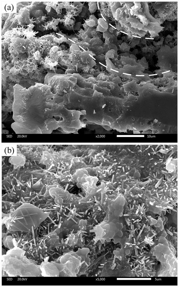 A kind of silicon carbide-based porous ceramic with bionic structure and preparation method thereof