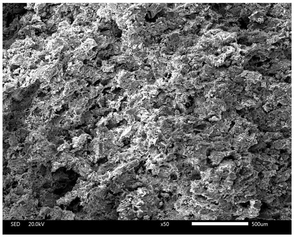 A kind of silicon carbide-based porous ceramic with bionic structure and preparation method thereof