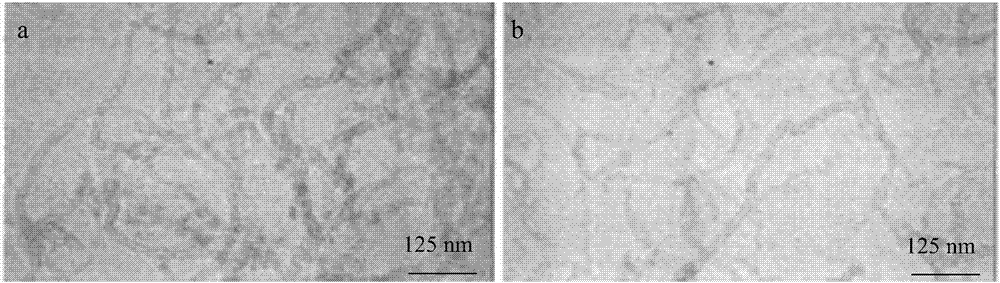 Method of simultaneously detecting dicofol and pyrethroid pesticides in food