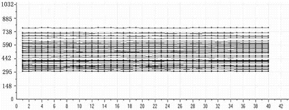 Kit for jointly detecting respiratory tract pathogen through multiple fluorescent PCR method