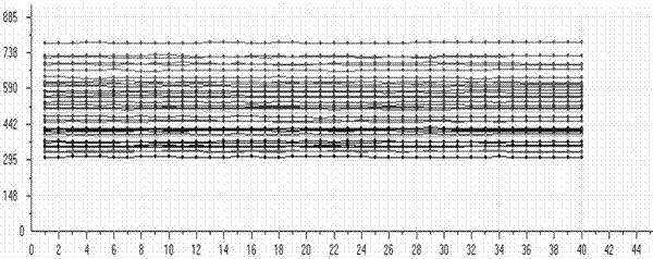 Kit for jointly detecting respiratory tract pathogen through multiple fluorescent PCR method