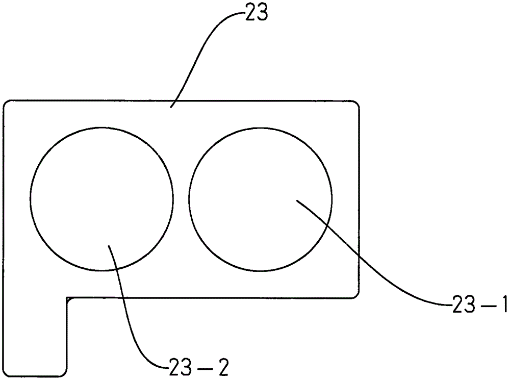 Positive and negative ion generation device and air purifier