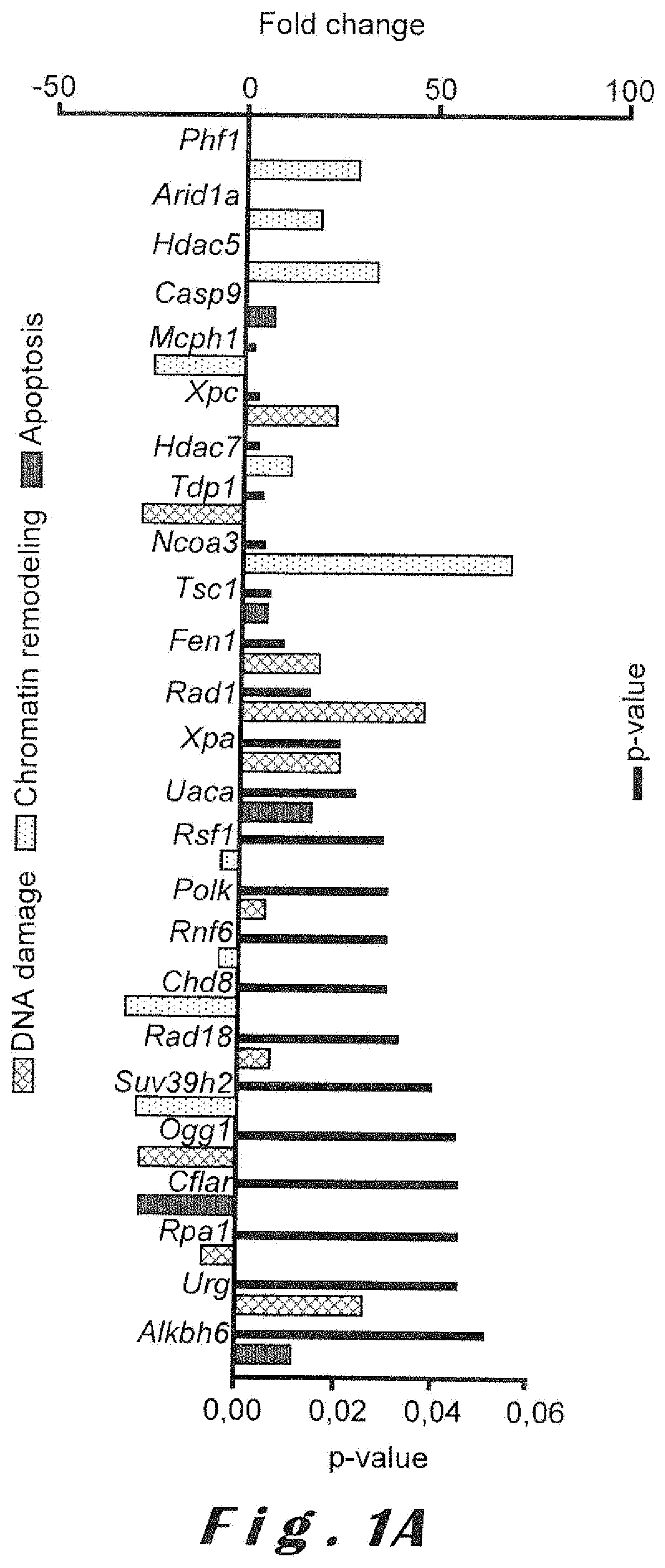 Homeoproteins for use in the treatment of neurodegenerative disorders