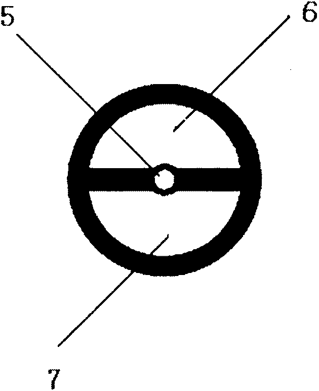 Dual balloon hemangiectasis catheter