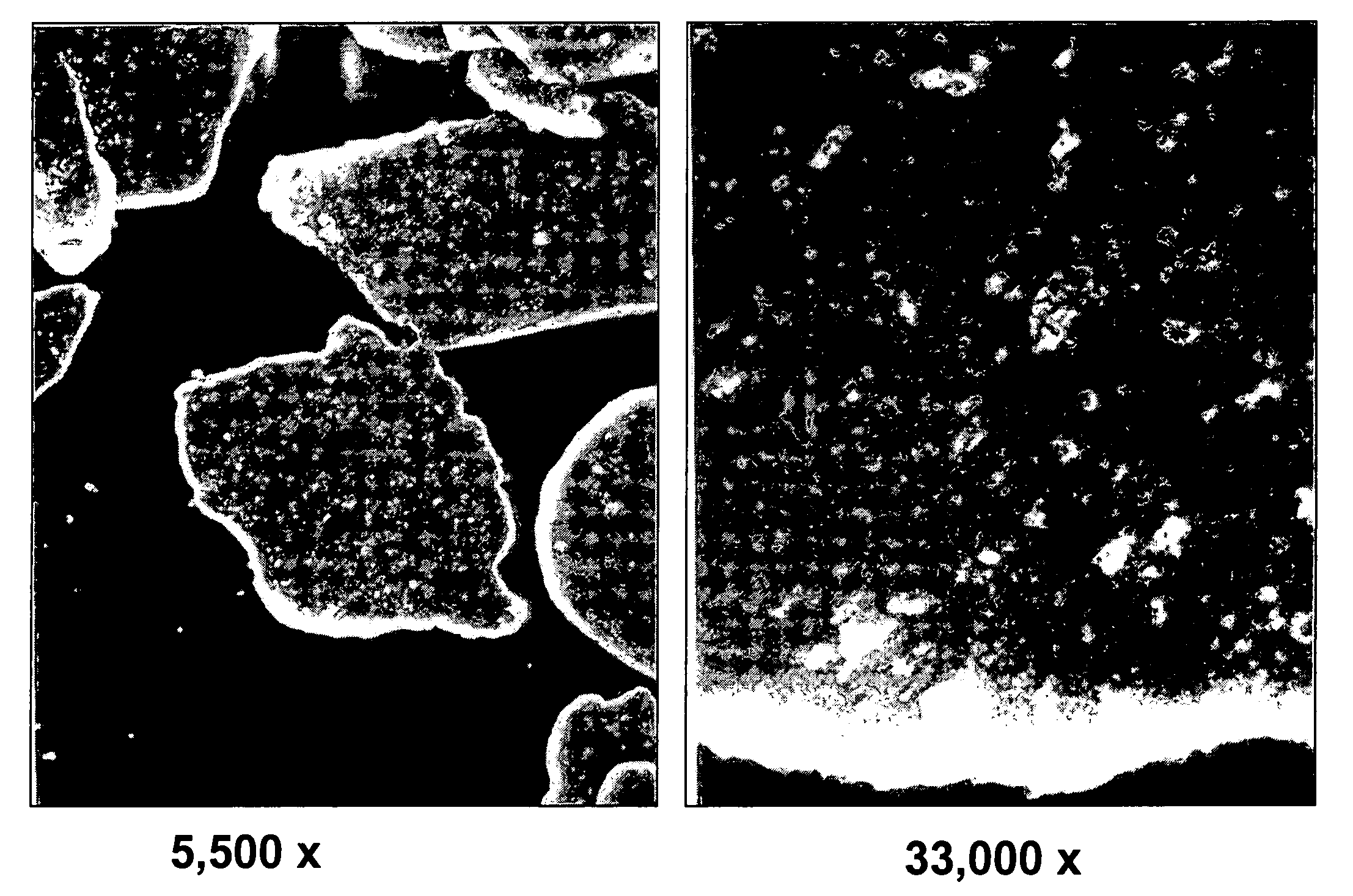 Powder coating precursors and the use thereof in powder coating compositions