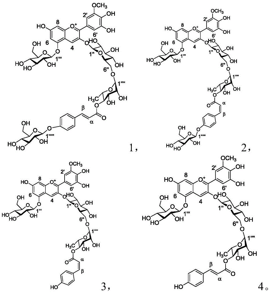 Separation and purification method for isomers of anthocyanin compound in lycium ruthenicum murr