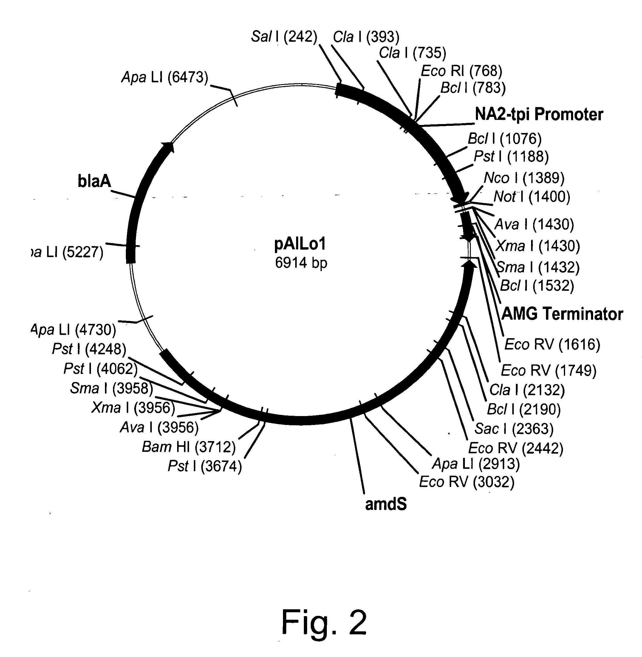 Polypeptides having xylanase activity and polynucleotides encoding same