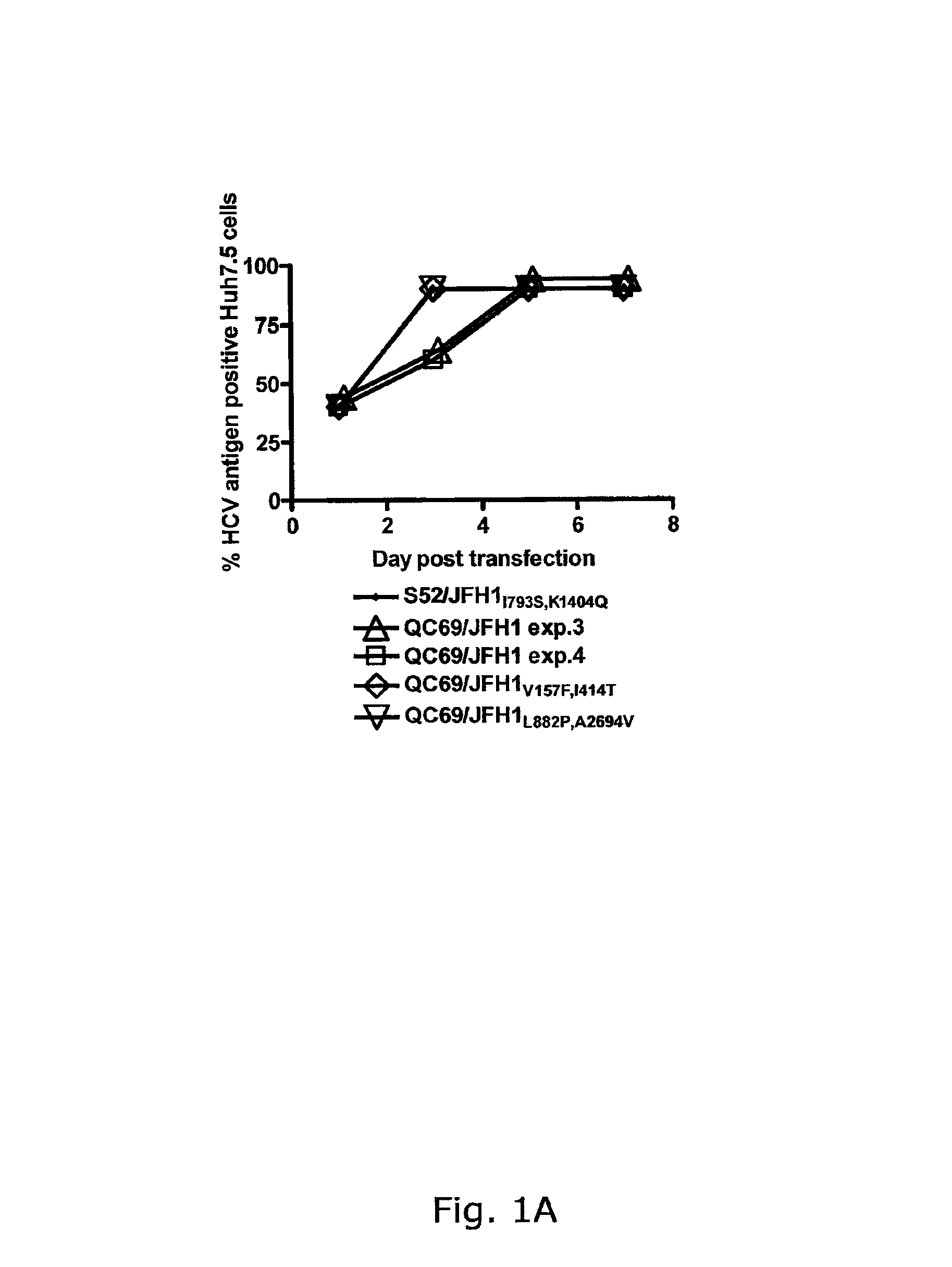 Efficient cell culture system for hepatitis C virus genotype 7a