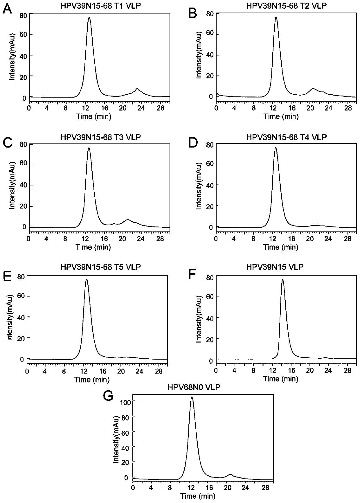 Mutant of human papilloma virus 39 type L1 protein