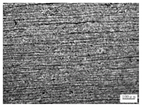 Boracic deep low temperature hot rolling H-section steel and preparation method thereof