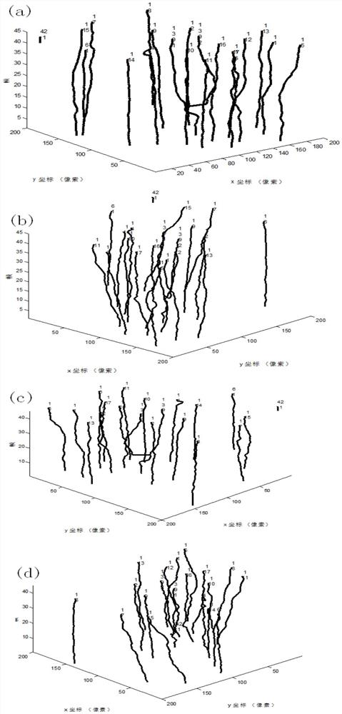 A joint multi-cell tracking method based on tag ant colony