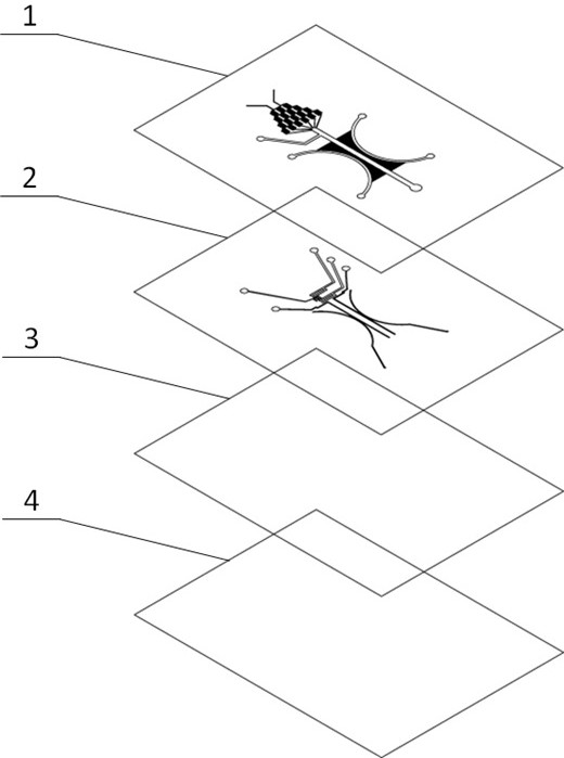 A microfluidic chip for cell migration and its preparation method