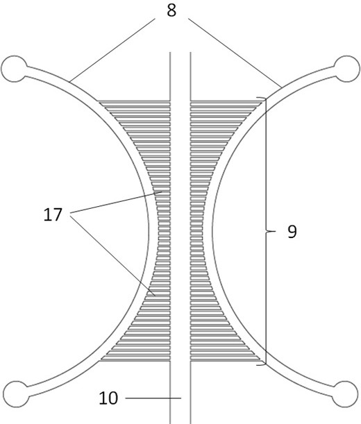 A microfluidic chip for cell migration and its preparation method