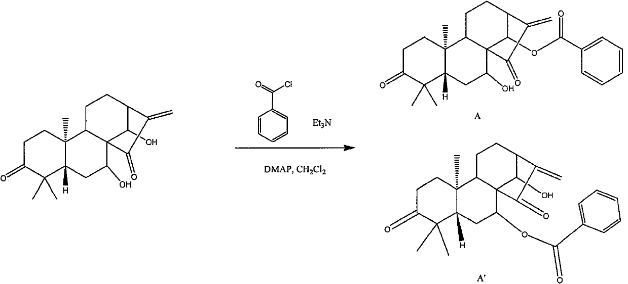 Chlorinated glaucocalyxin A derivative and preparation method and application thereof