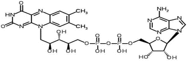 Method for virtually screening cholesterol degrading medicine with 24-dehydrocholesterol reductase (DHCR24) being target point