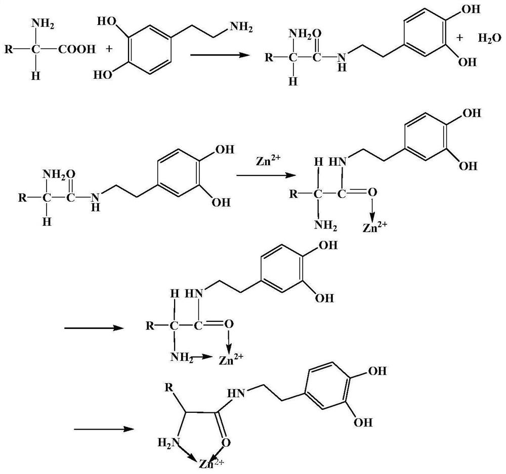 Novel bone glue modified asphalt and preparation method thereof