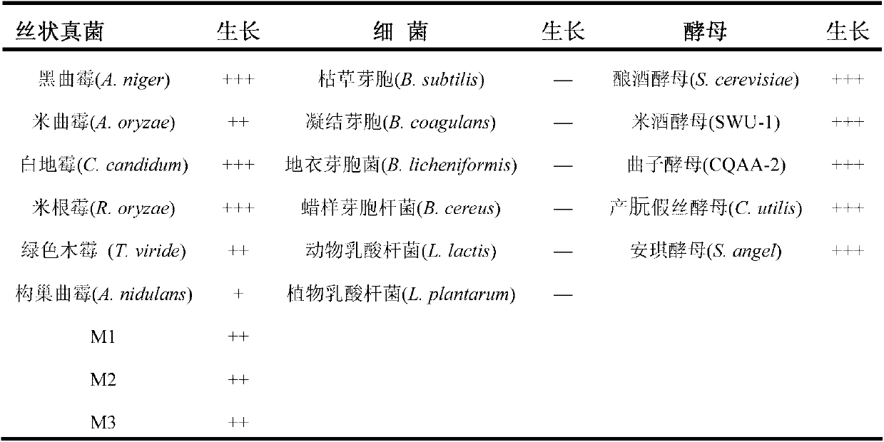 Dewatered solid combined inoculant for increasing protein level of citrus pulp feed and preparation method of dewatered solid combined inoculant