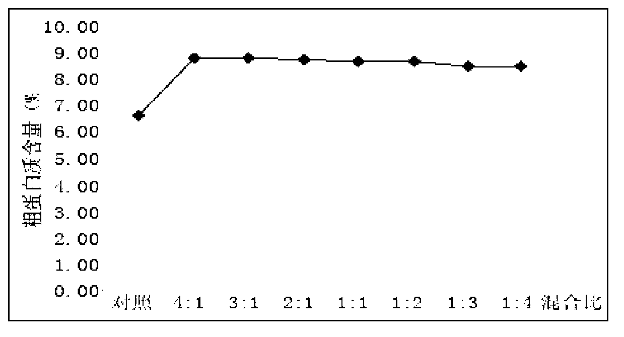 Dewatered solid combined inoculant for increasing protein level of citrus pulp feed and preparation method of dewatered solid combined inoculant