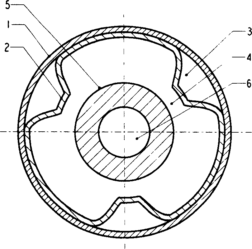 Permanent double layer well body structure for realizing gas well continuous circulation