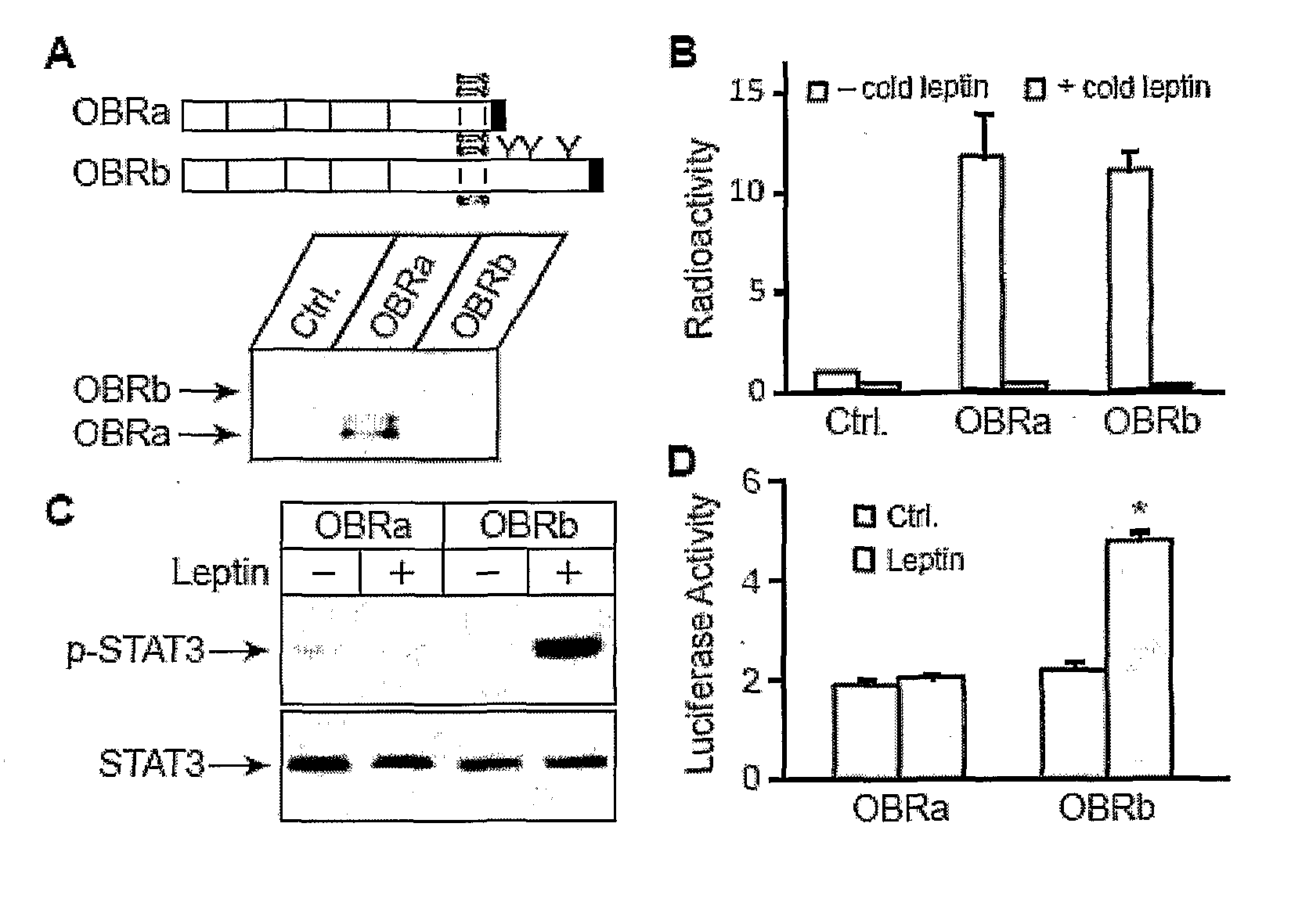 Modulators of stat3 signalling