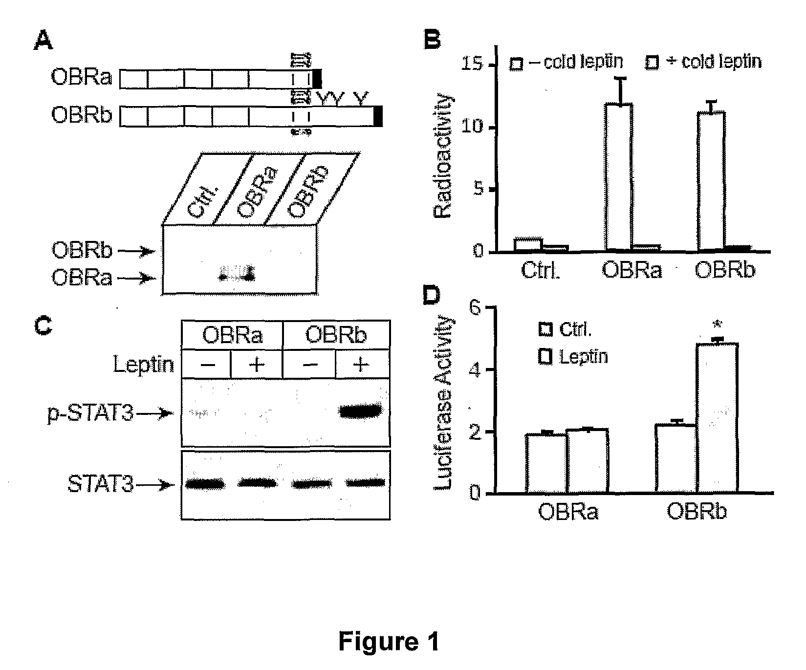 Modulators of stat3 signalling