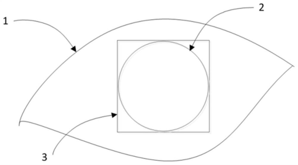 A fast iris detection method based on convolutional neural network