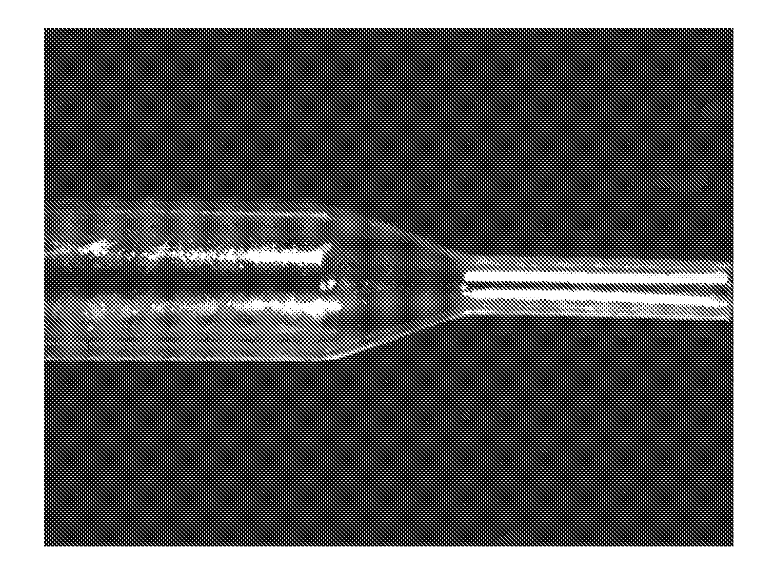 Drug eluting expandable devices